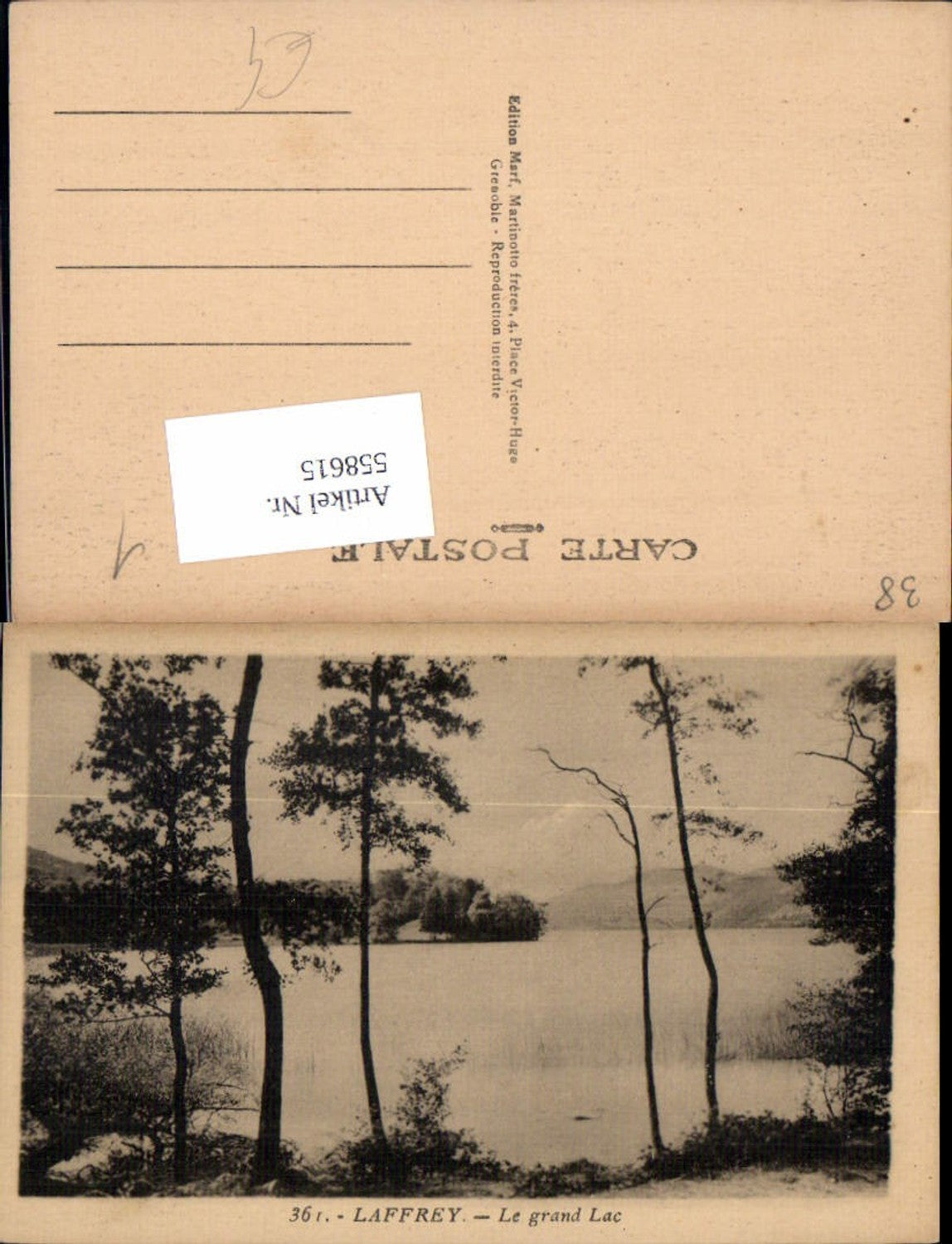 558615,France Laffrey Grand lac pres Grenoble