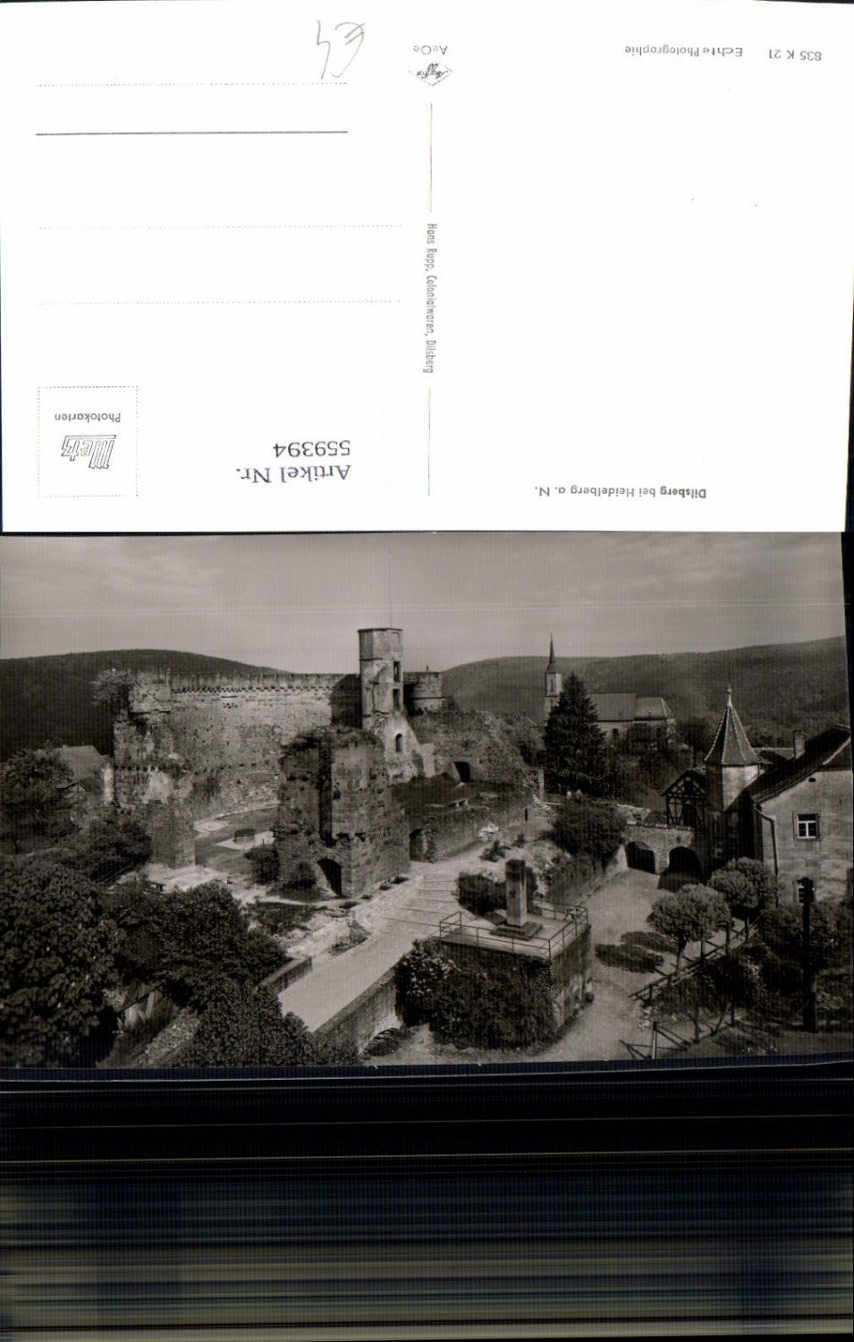 559394,Foto Ak Dilsberg Neckargemünd b. Heidelberg a. Neckar Burg Festung