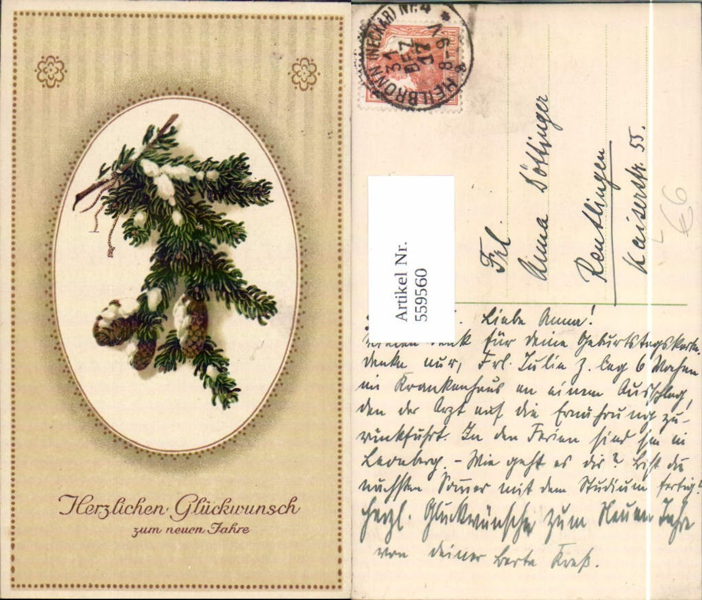 559560,Litho Neujahr Tannenzweig Zapfen Schnee Passepartout