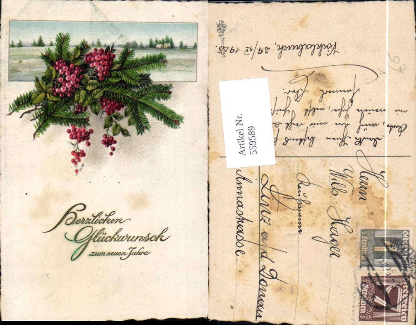 559589,Neujahr Zweig Tanne Beeren Winterlandschaft Passepartout pub Erika 5751