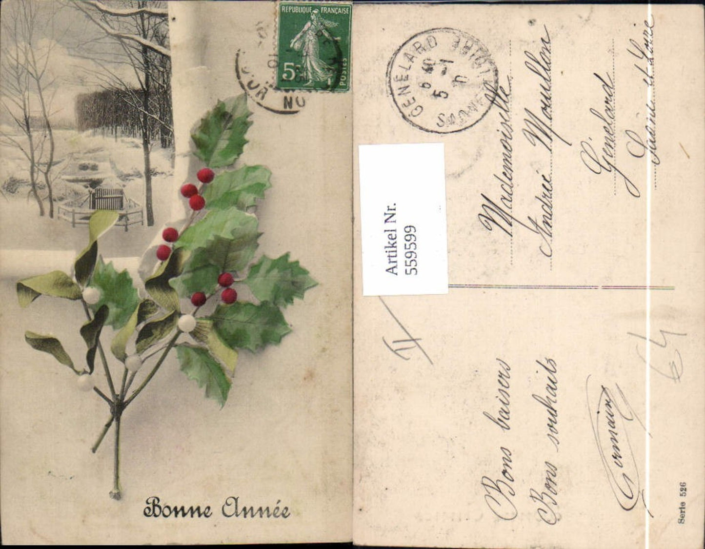 559599,Neujahr Winterlandschaft Steckpalmenzweig Misteln Bonne Annee