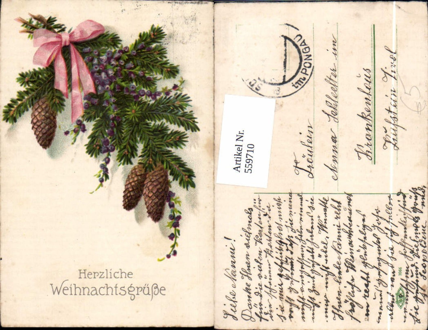 559710,Weihnachten Tannenzweig Beeren Zapfen Schleife