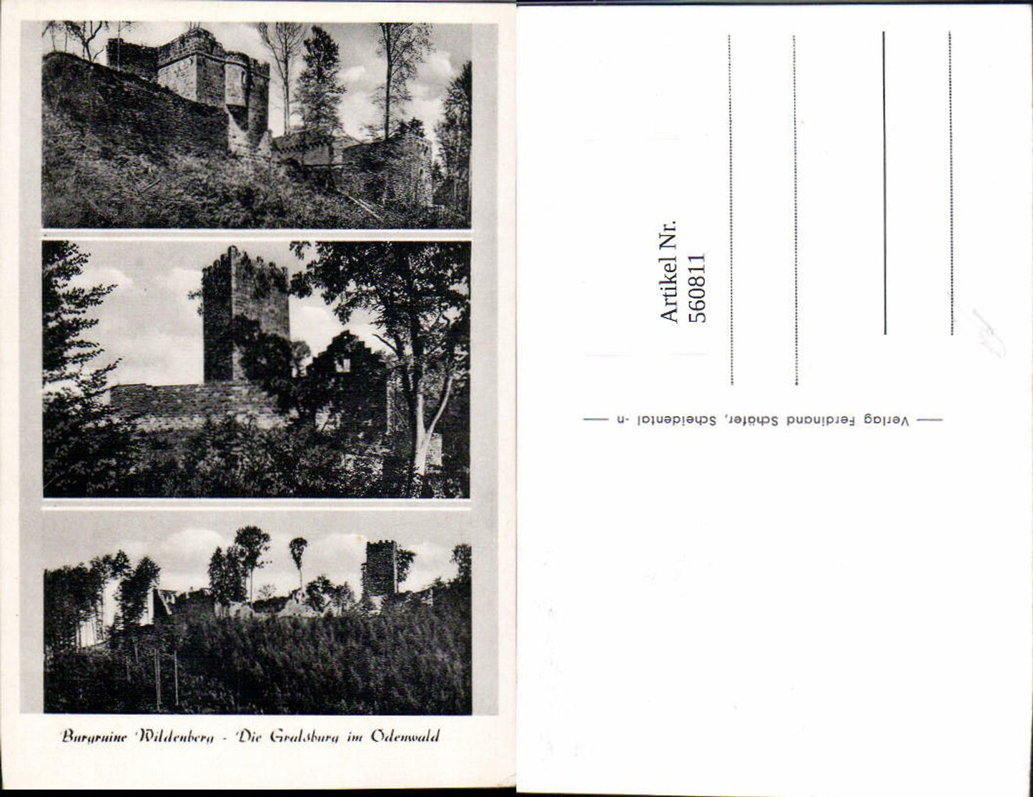 560811,Ruine Wildenberg Odenwald Preunschen Kirchzell LK Miltenberg