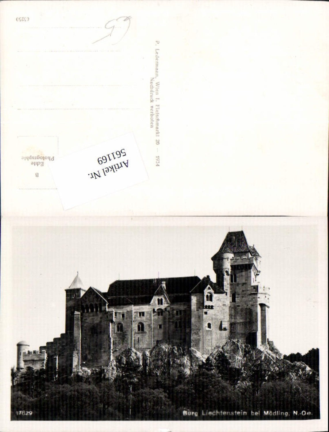 561169,Foto Ak Burg Liechtenstein b. Mödling