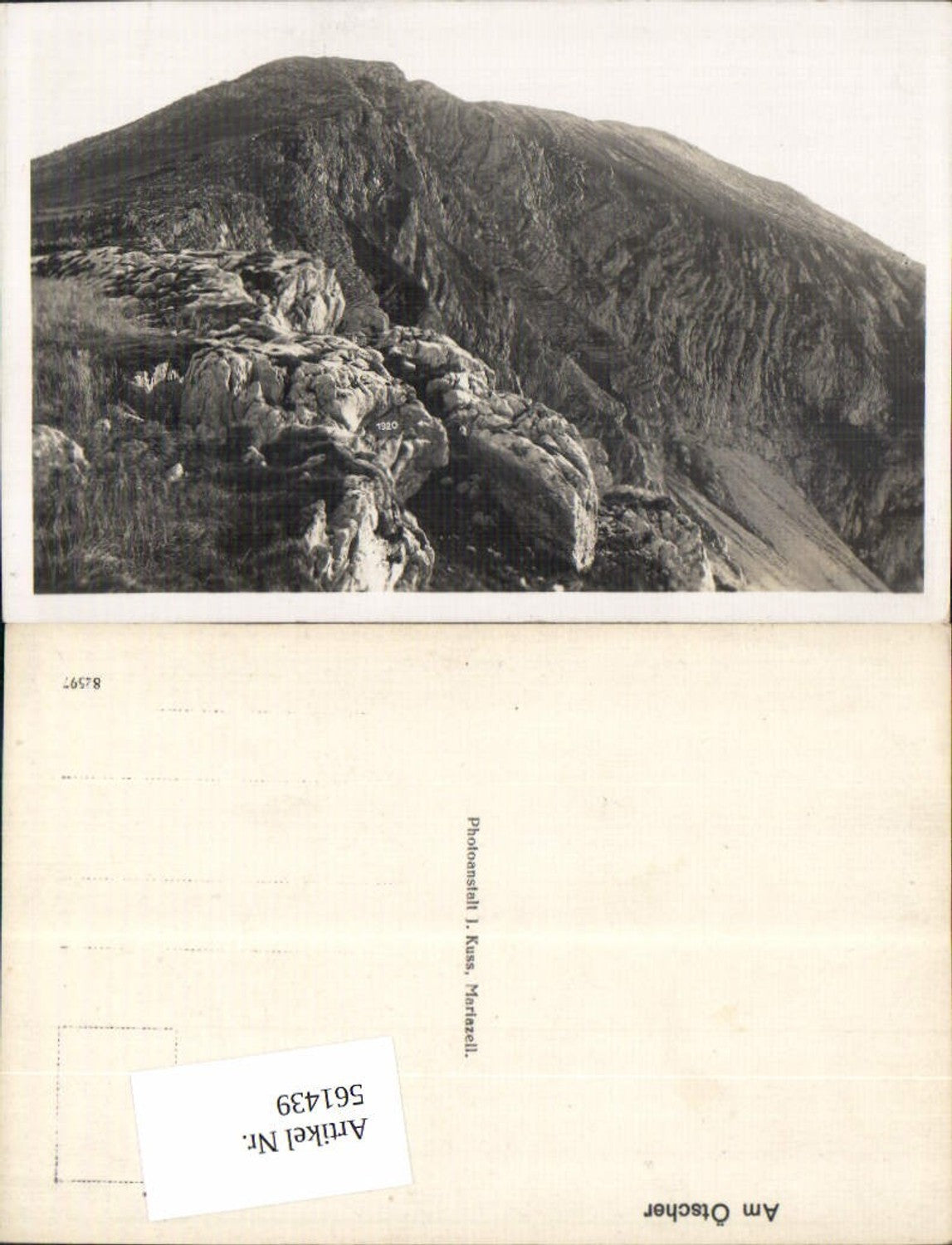 561439,Ötscher Rauher Kamm b. Lackenhof