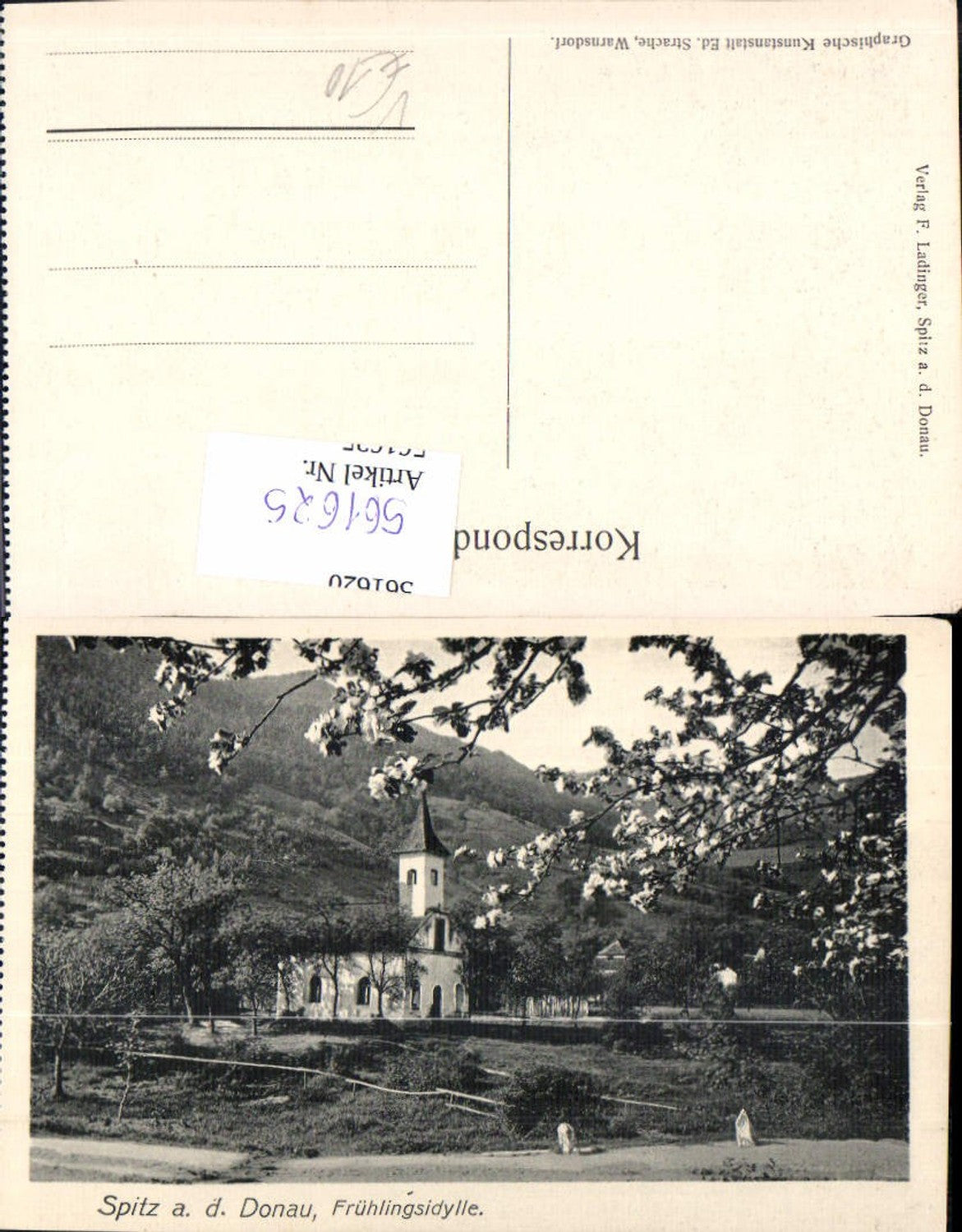 561625,Spitz a. d. Donau Wachau Frühlingsidylle pub F. Ladinger