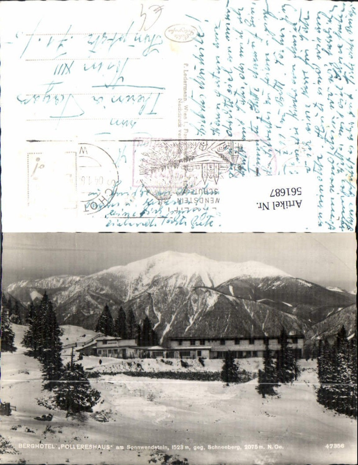 561687,Foto Ak Schottwien Göstritz Berghotel Pollereshaus Sonnwendstein geg. Schneeberg Winter