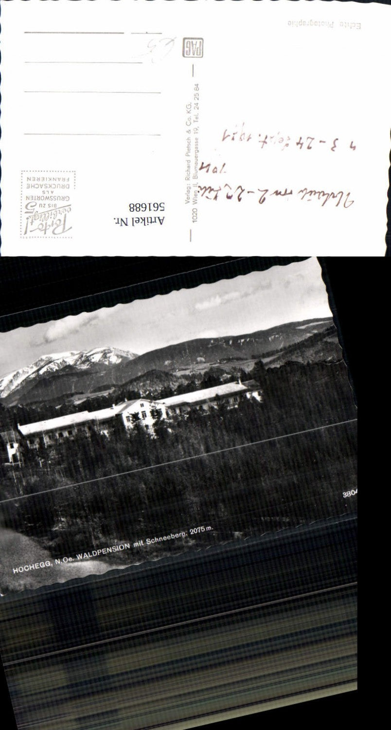 561688,Foto Ak Grimmenstein Hochegg Waldpension m. Schneeberg