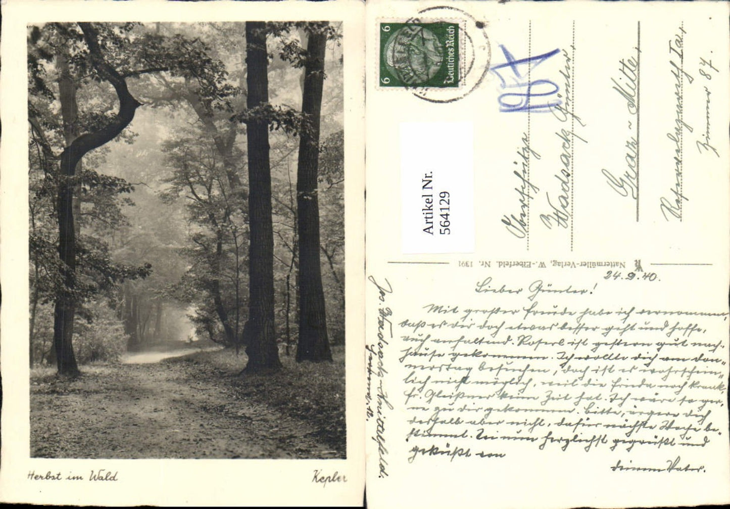564129,tolle Foto-AK Fotokunst Kepler Herbst im Wald Bäume Baum pub Nattermüller Elberfeld