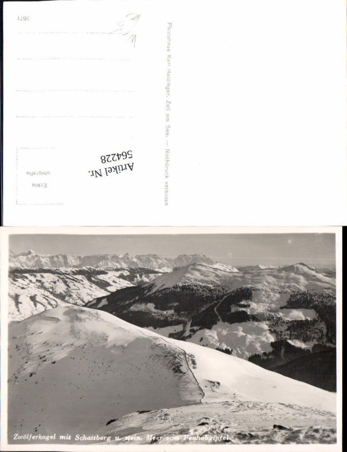 564228,Foto Ak Zwölferkogel m. Schattberg u. Steinernes Meer v. Penhabgipfel Saalbach-Hinterglemm