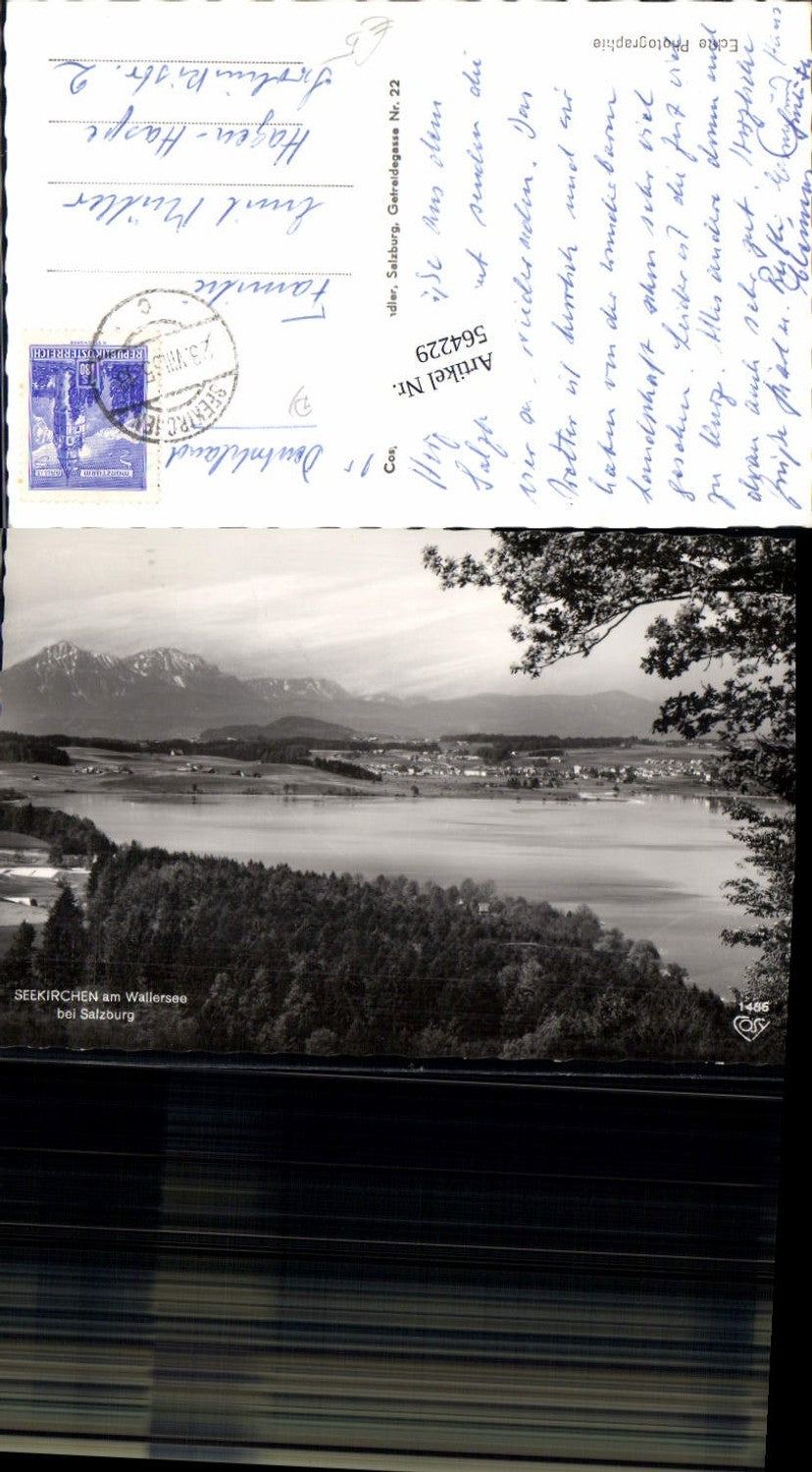 564229,Photo Ak Seekirchen a. Wallersee