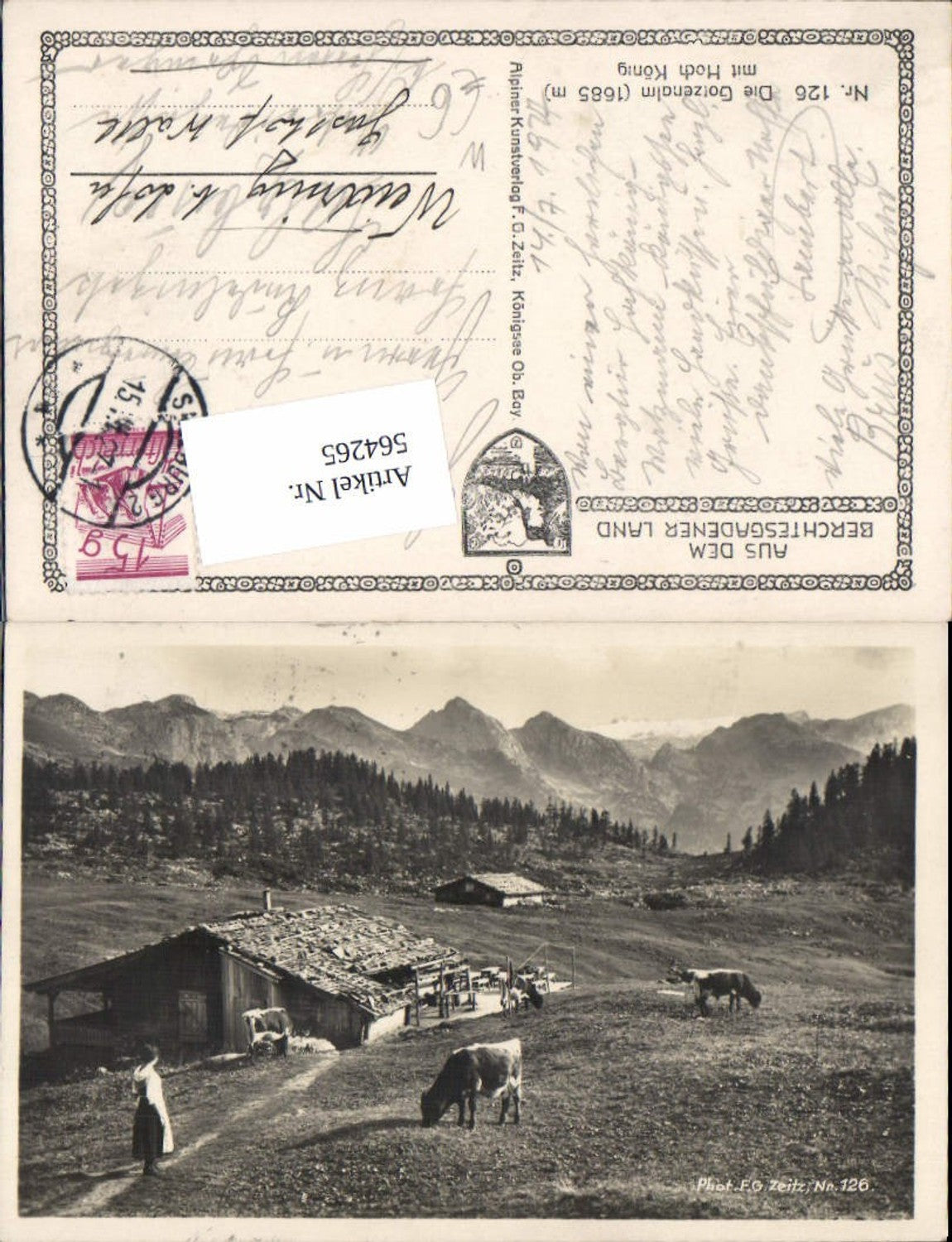 564265,Gotzenalm m. Hochkönig Kessel a. Königssee Rinder Kühe