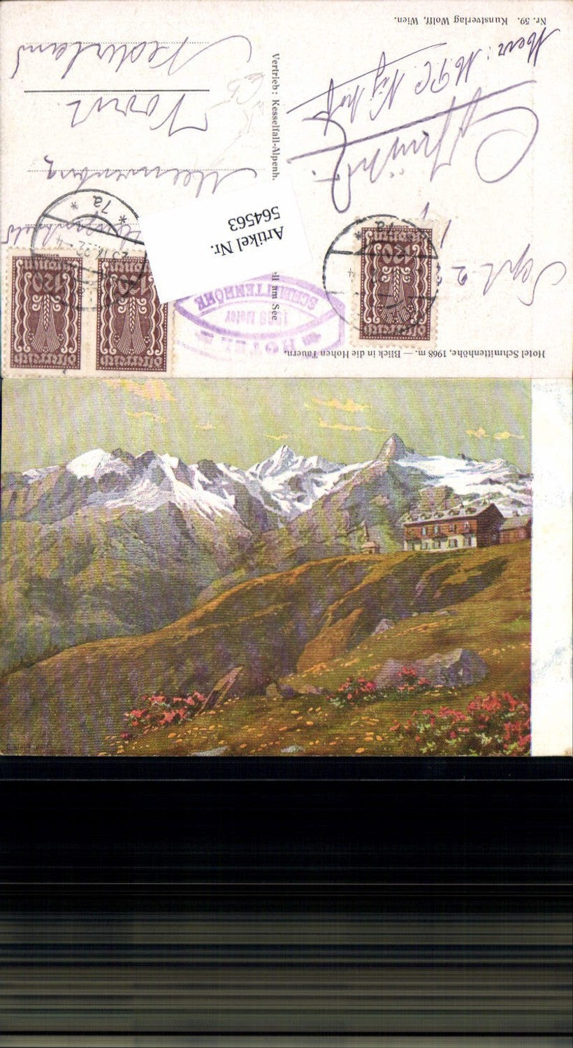 564563,Künstler AK Wolff Schmittenhöhe bei Zell am See