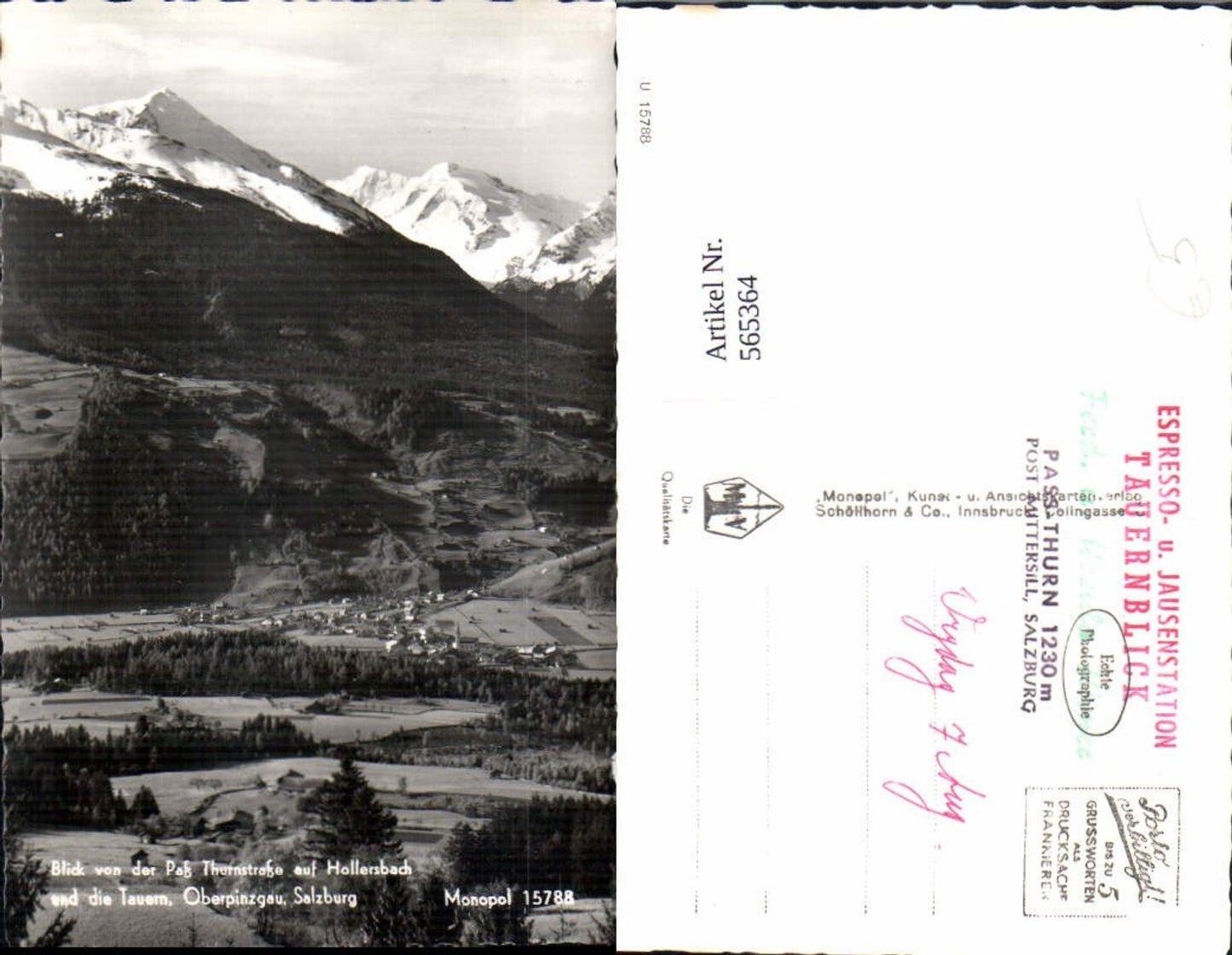 565364,Hollersbach im Pinzgau Blick v. Paß Thurnstraße