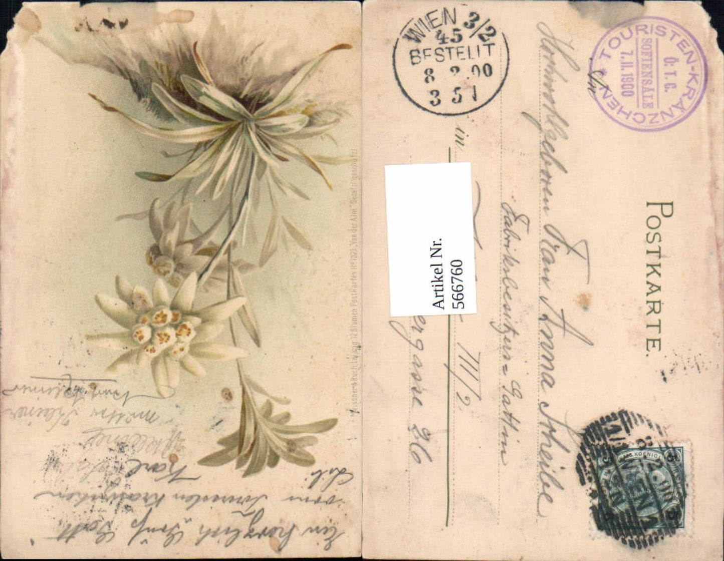 566760,tolle Künstler AK Edelweiss pub Meissner & Buch 1029