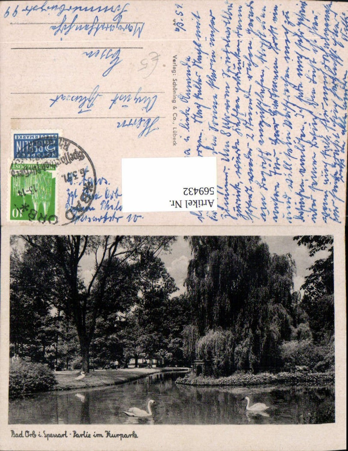 569432,Bad Orb Spessart Partie Kurpark Schwan Schwäne