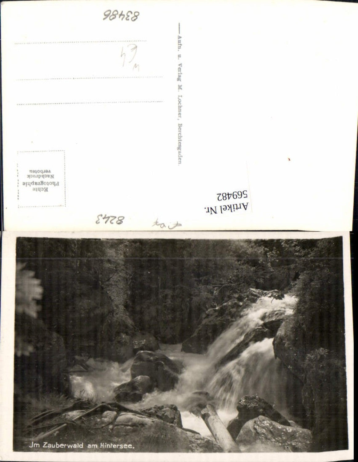 569482,Foto Ak Zauberwald Hintersee Wasserfall Ramsau bei Berchtesgaden