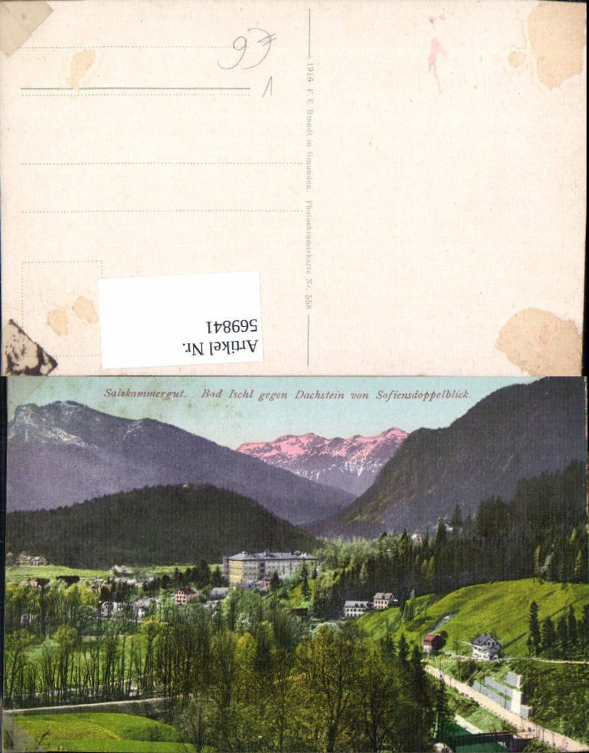 569841,Bad Ischl geg. Dachstein v. Sofiendoppelblick Salzkammergut pub F. E. Brandt 558