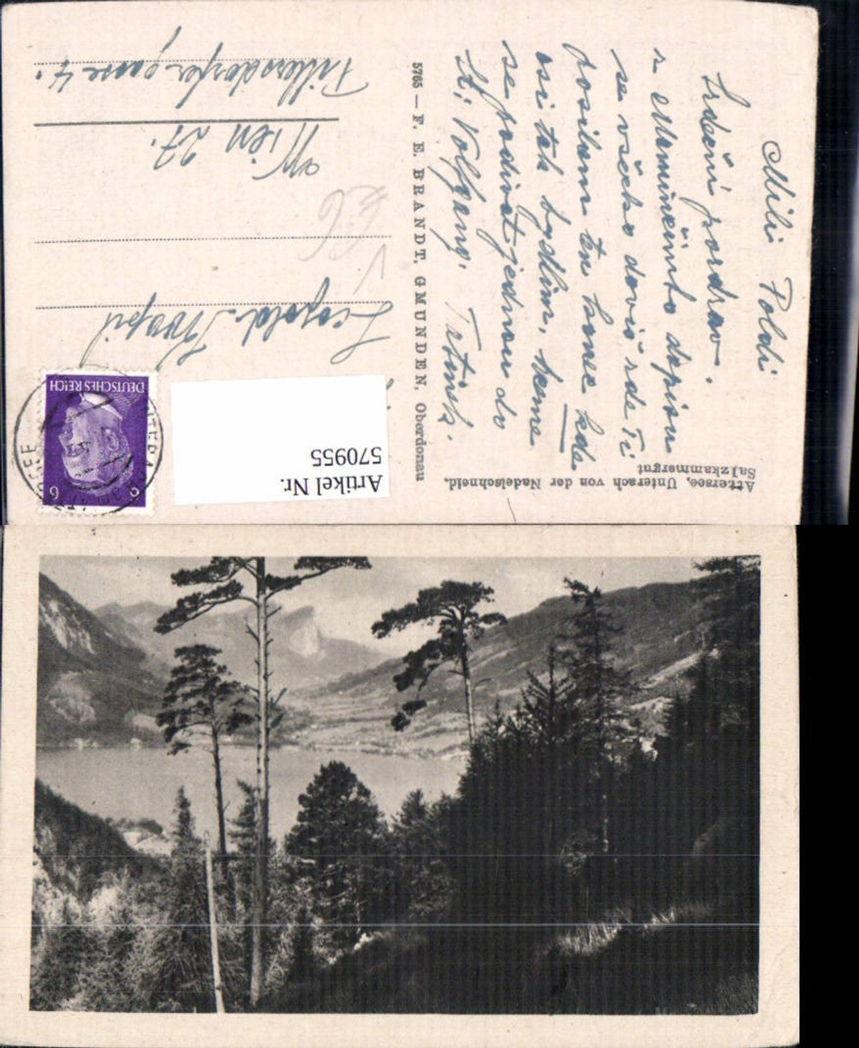 570955,Unterach am Attersee v. d. Nadelschneid Salzkammergut pub F. E. Brandt 5765