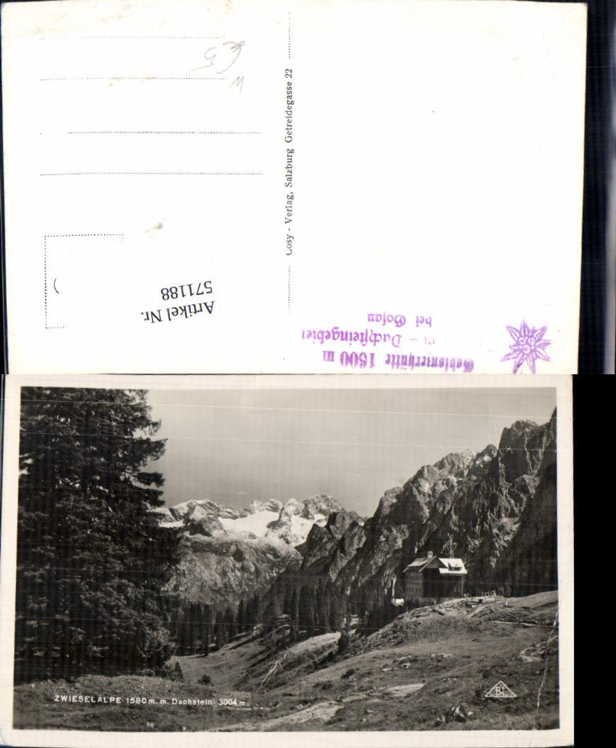 571188,Gosau Zwieselalpe Dachstein