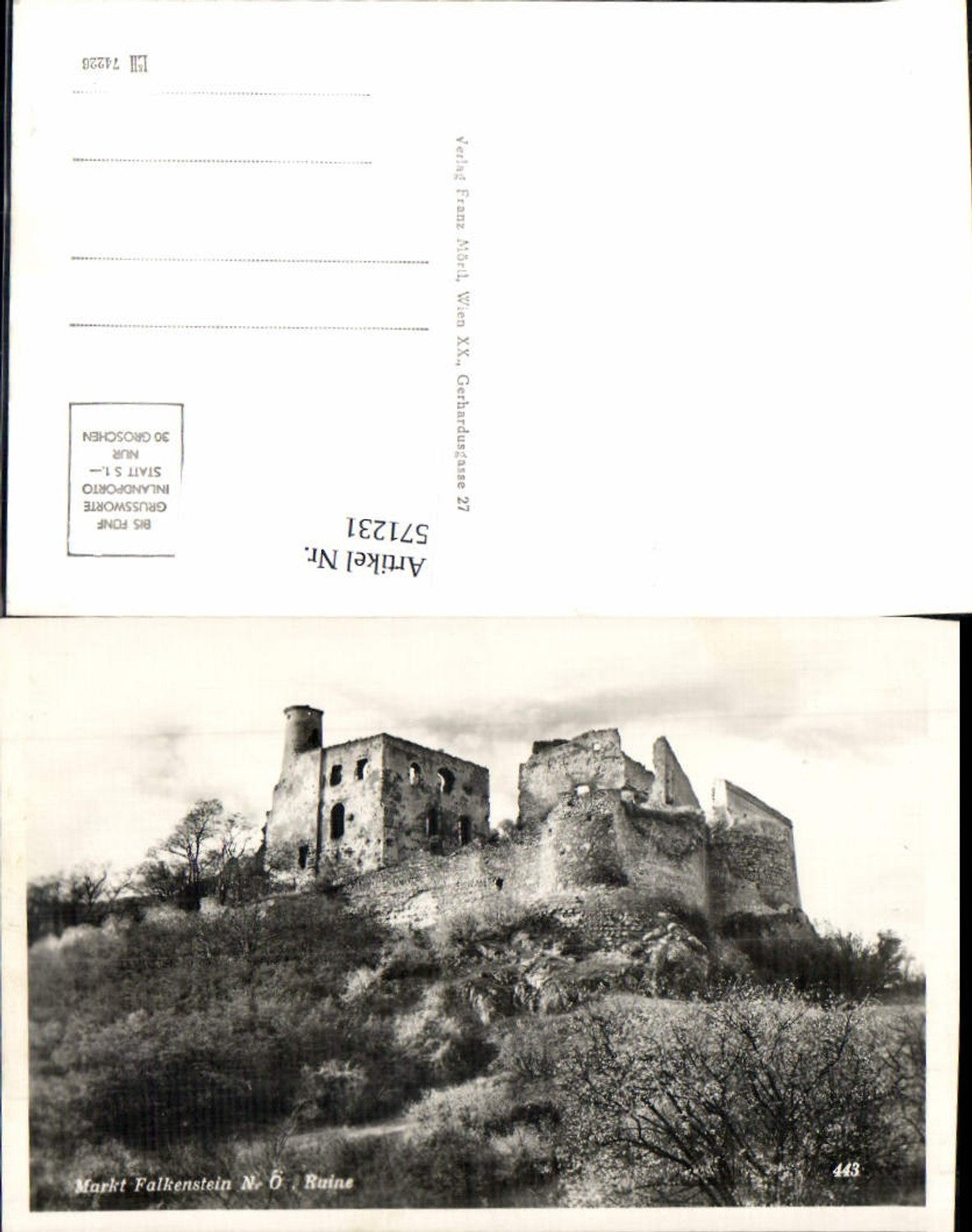571231,Markt Falkenstein Ruine