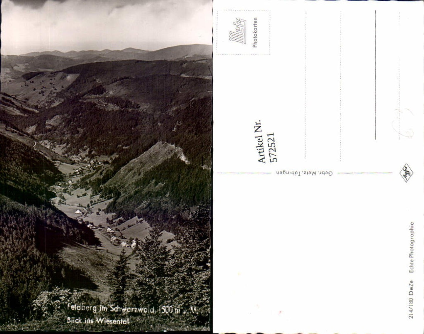 572521,Feldberg im Schwarzwald Blick ins Wiesental