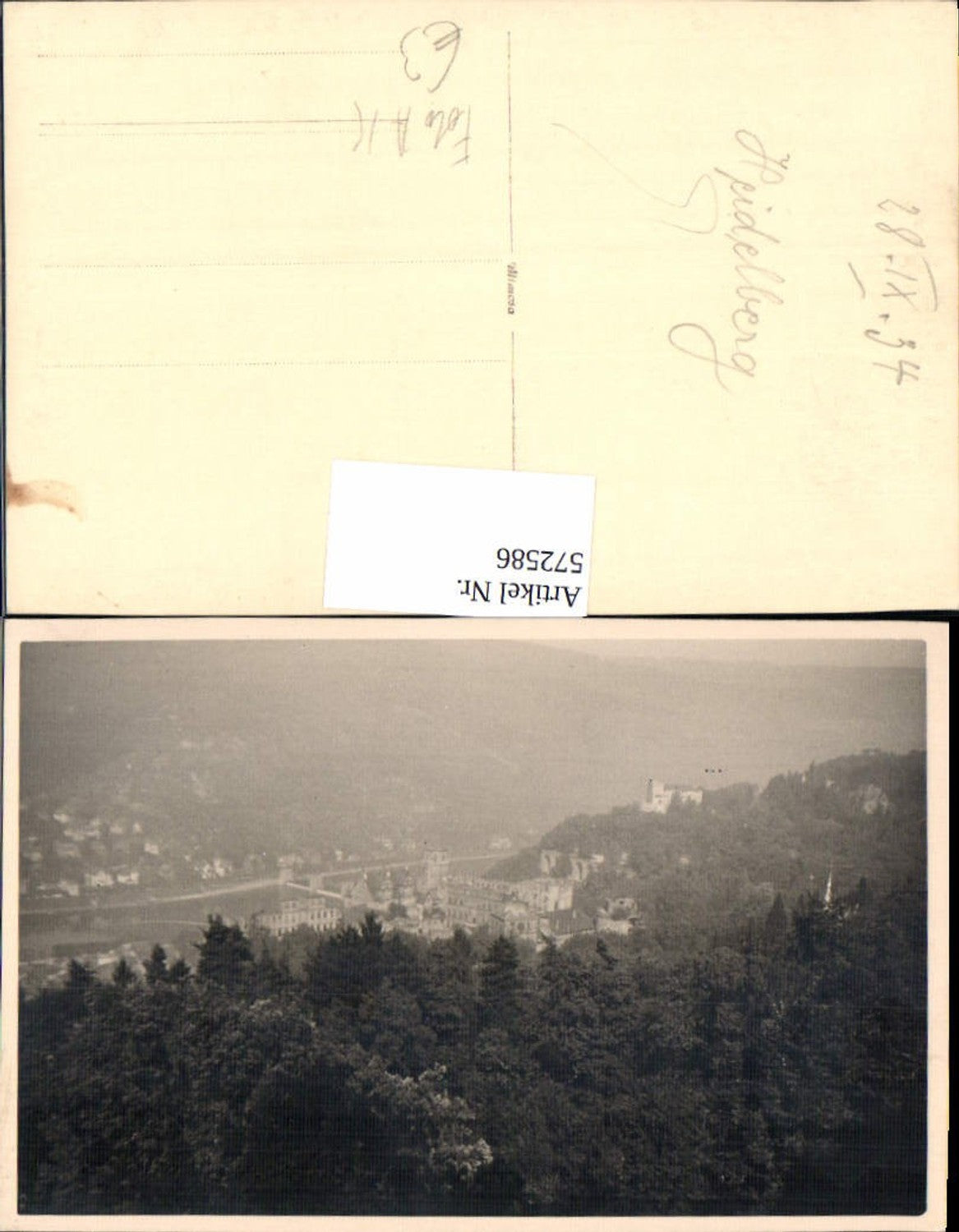 572586,Foto Ak Heidelberg Ansicht m. Schloss