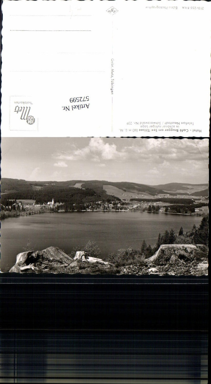 572599,Foto Ak Titisee-Neustadt Cafe Brugger a. See
