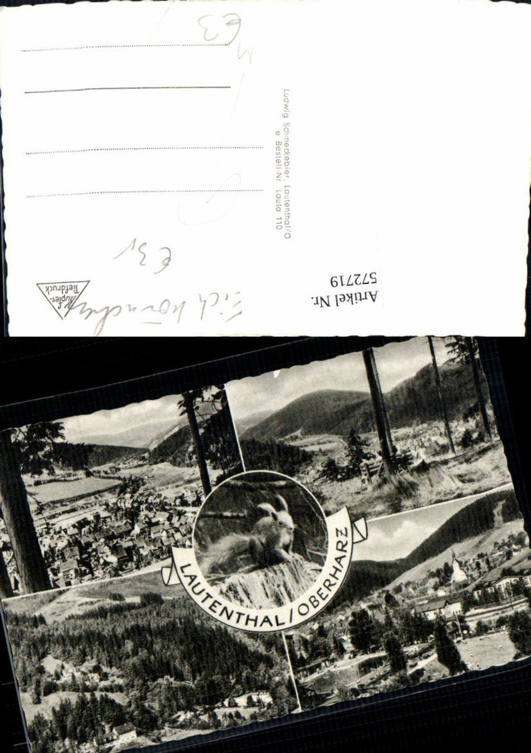 572719,Mehrbild Ak Lautenthal Oberharz Langelsheim Eichkätzchen Eichhörnchen