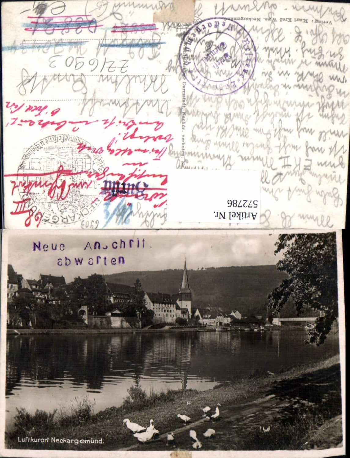572786,Neckargemünd Ansicht Enten i. Vordergrund