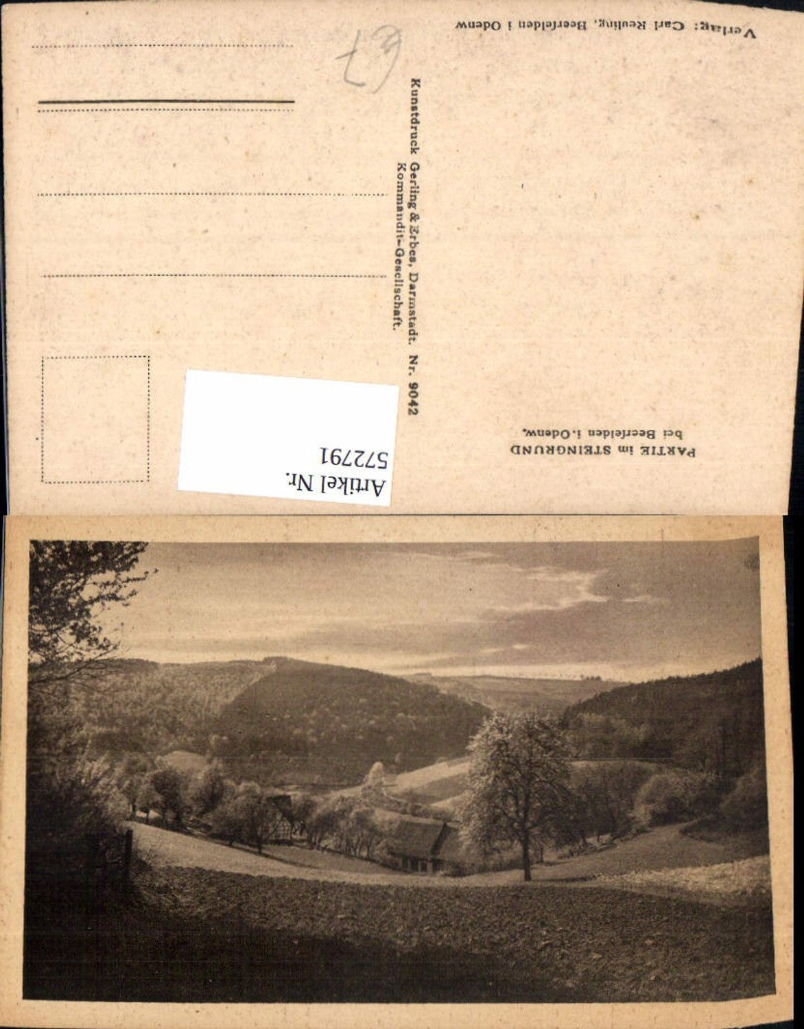 572791,Partie i. Steingrund b. Beerfelden Odenwald Oberzent