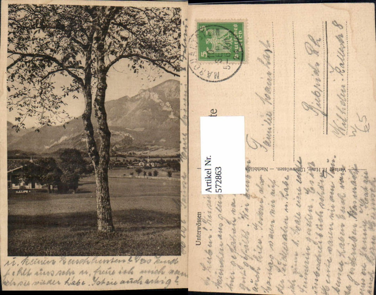 572863,Unterwössen Ansicht m. Baum i. Vordergrund