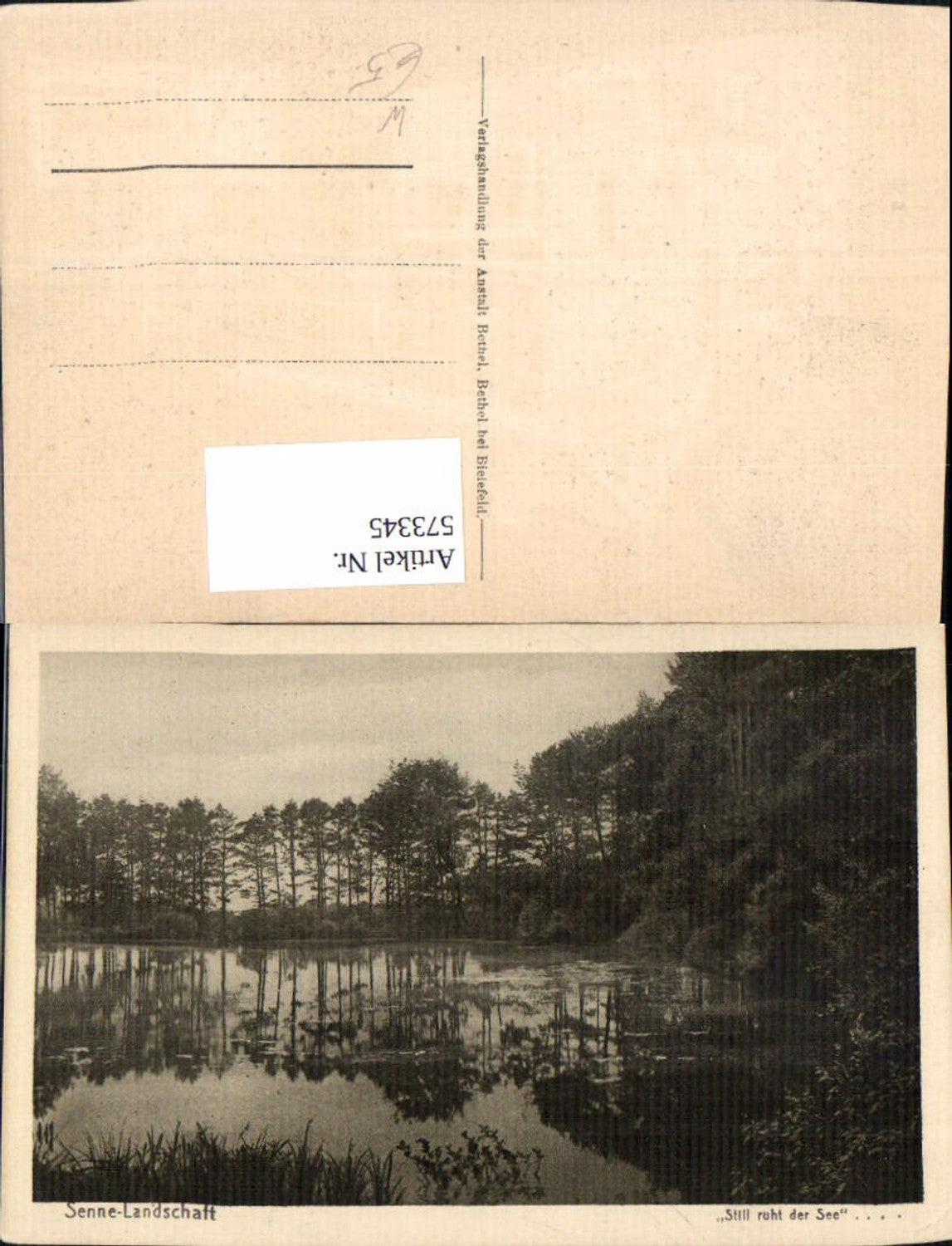 573345,Senne Landschaft zw. Bielefeld Paderborn Ansicht See