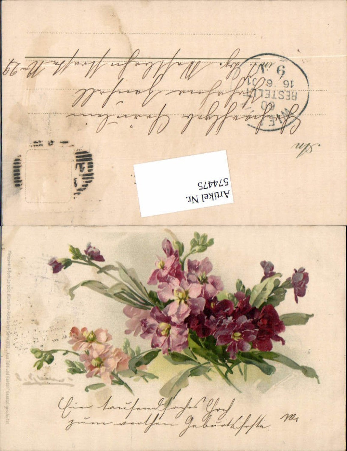 574475,Künstler AK Veilchen Aus Feld und Garten pub Meissner & Buch 1052