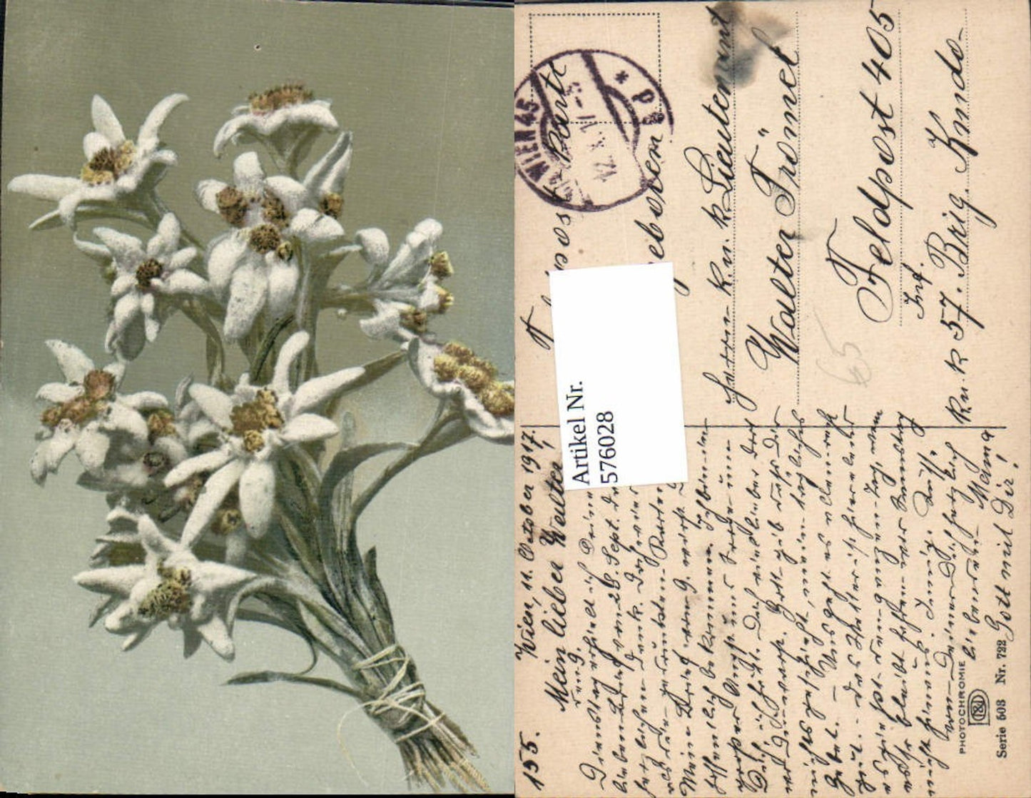 576028,Künstler AK Photochromie Ostermaier & Nenke 503-722 Edelweiss