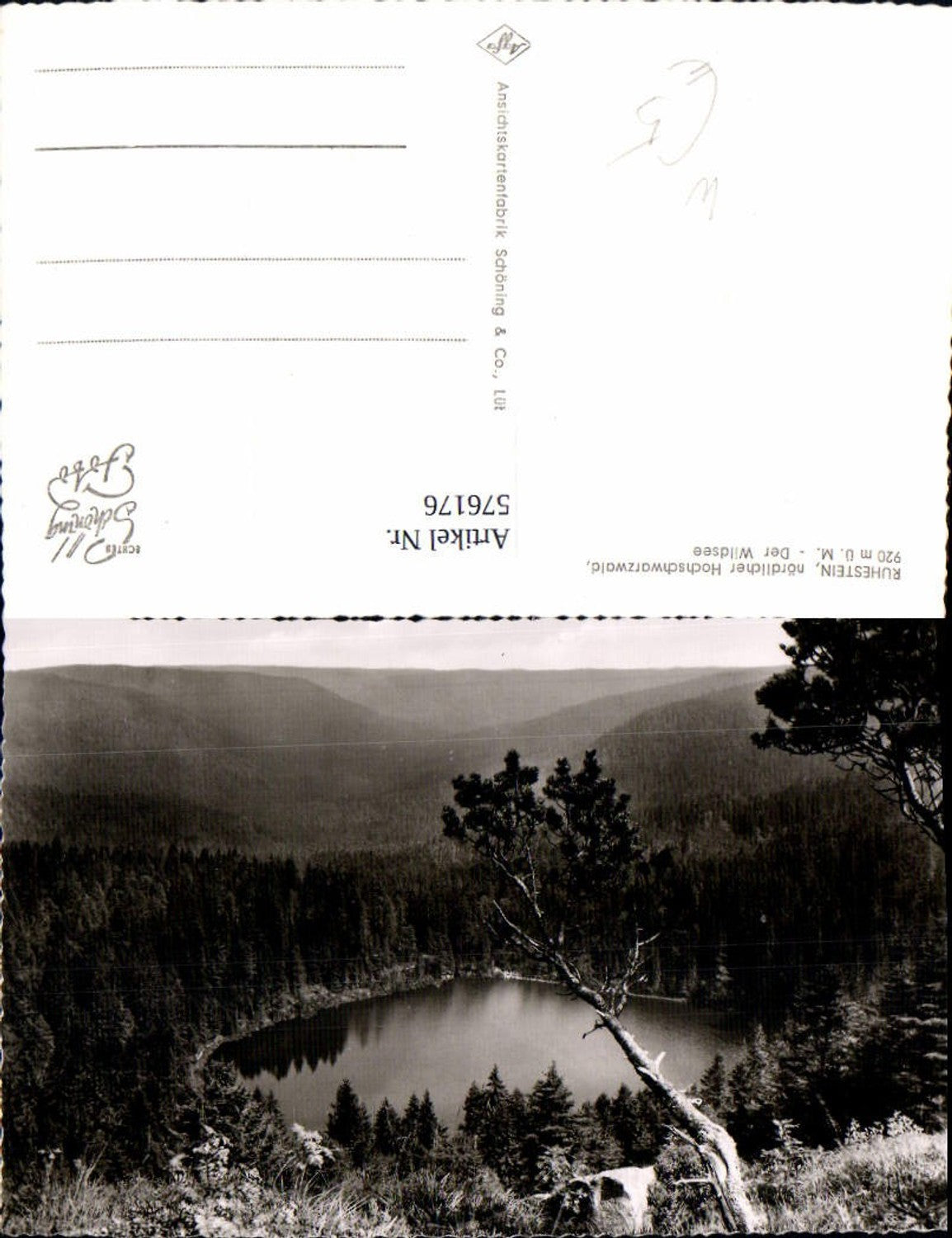 576176,Foto Ak Baiersbronn Ruhestein Wildsee