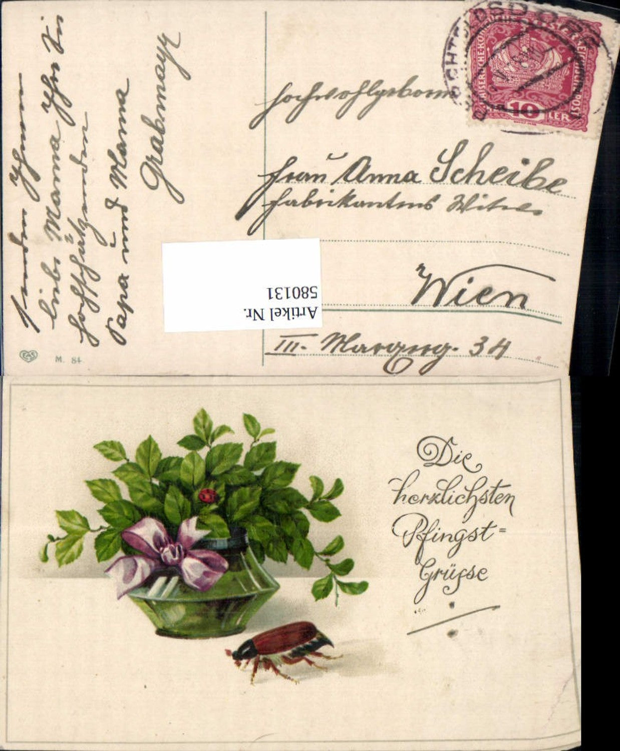 580131, Pentecost May beetle Ladybug