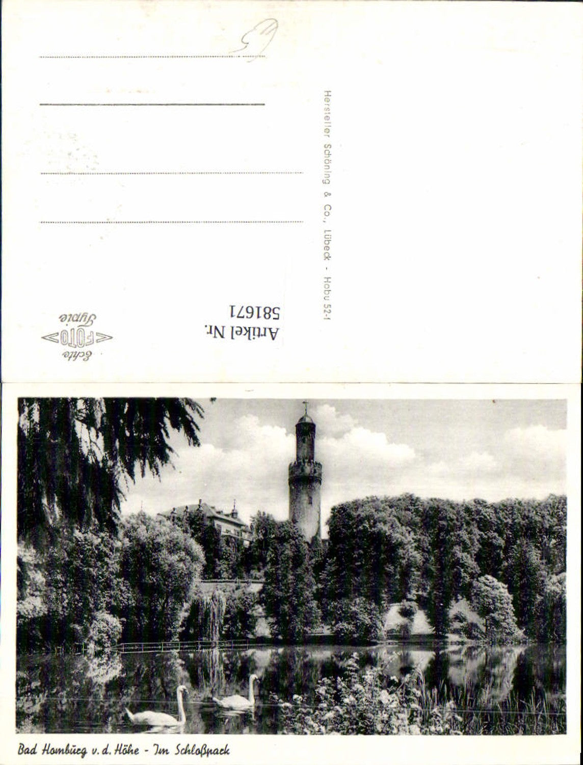 581671,Bad Homburg vor der Höhe Im Schloßpark Schwan Schwäne