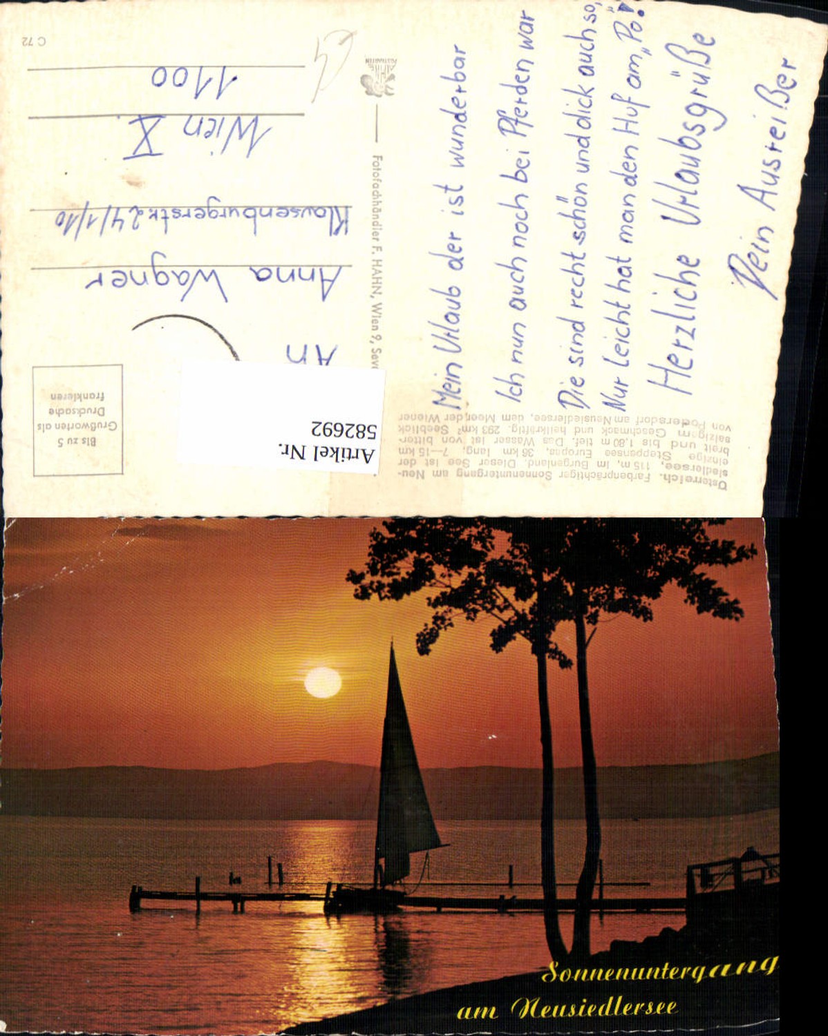 582692,Sonnenuntergang Neusiedlersee Podersdorf am See Segelboot Segeln