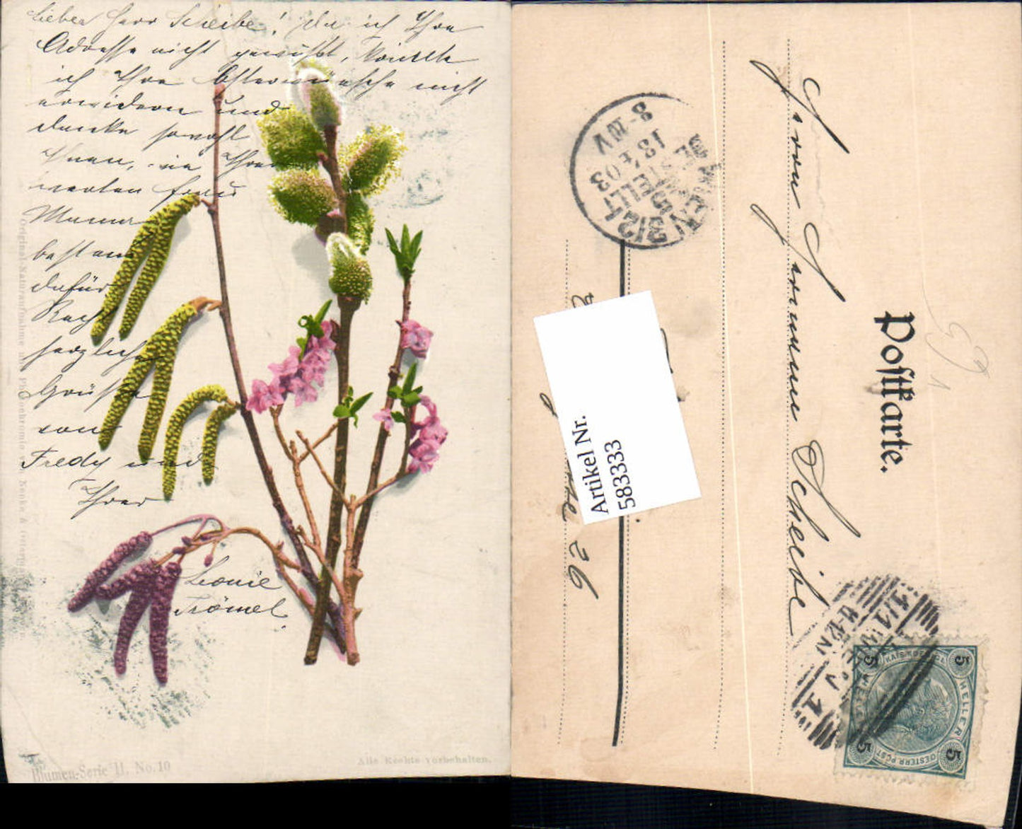 583333,Photochromie Nenke & Ostermaier Blumen Serie II No. 10