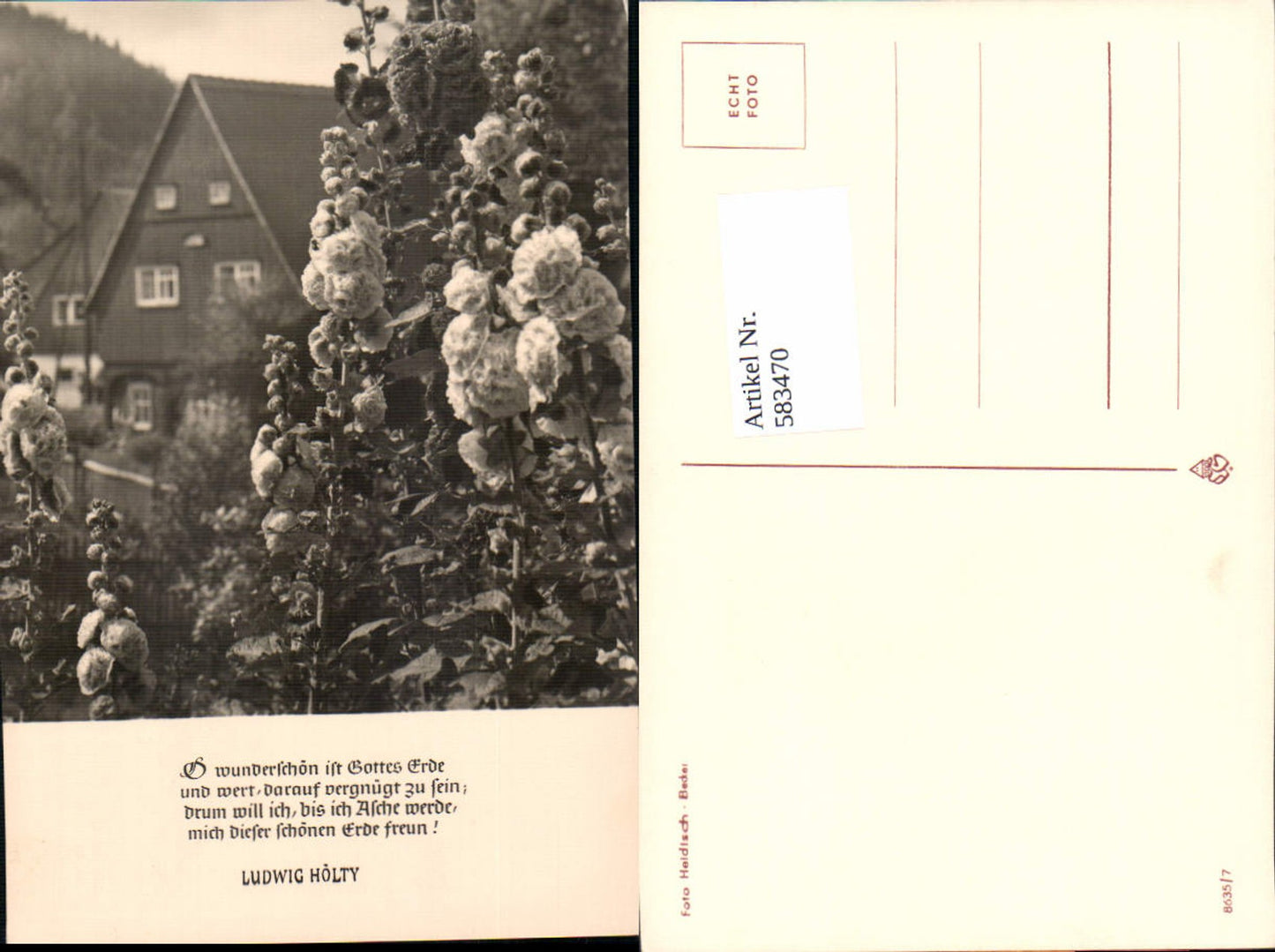 583470,Photographic Art Heidisch Becker