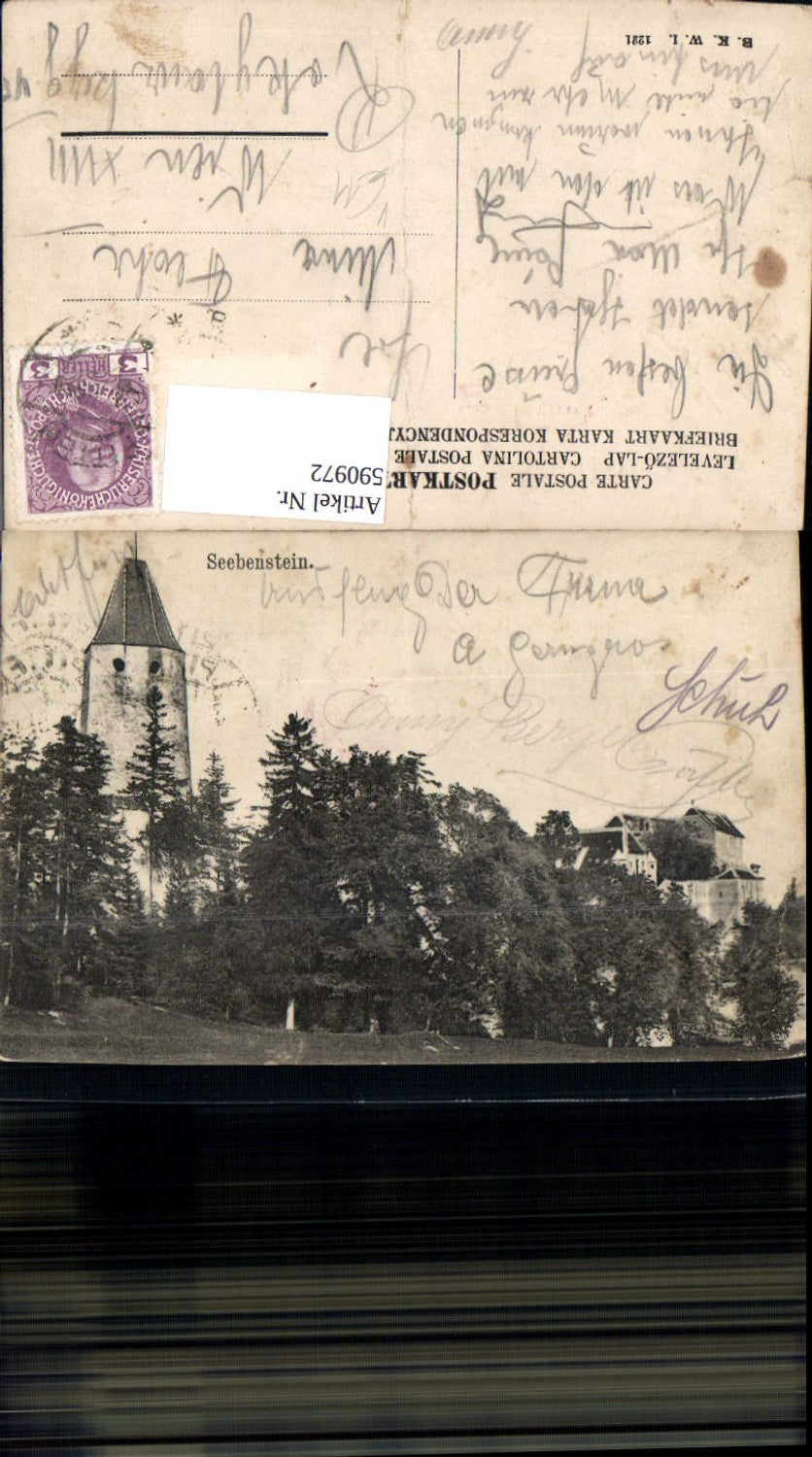 590972,Seebenstein Ansicht pub B.K.W.I. 1221