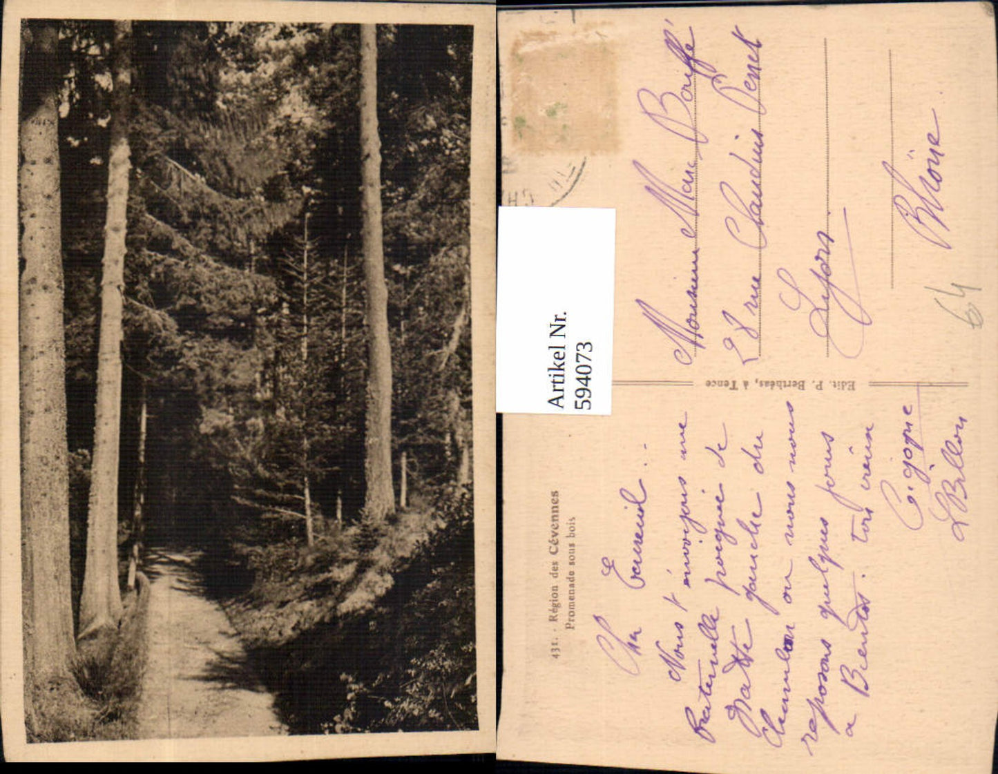 Alte Ansichtskarte – Old Postcard