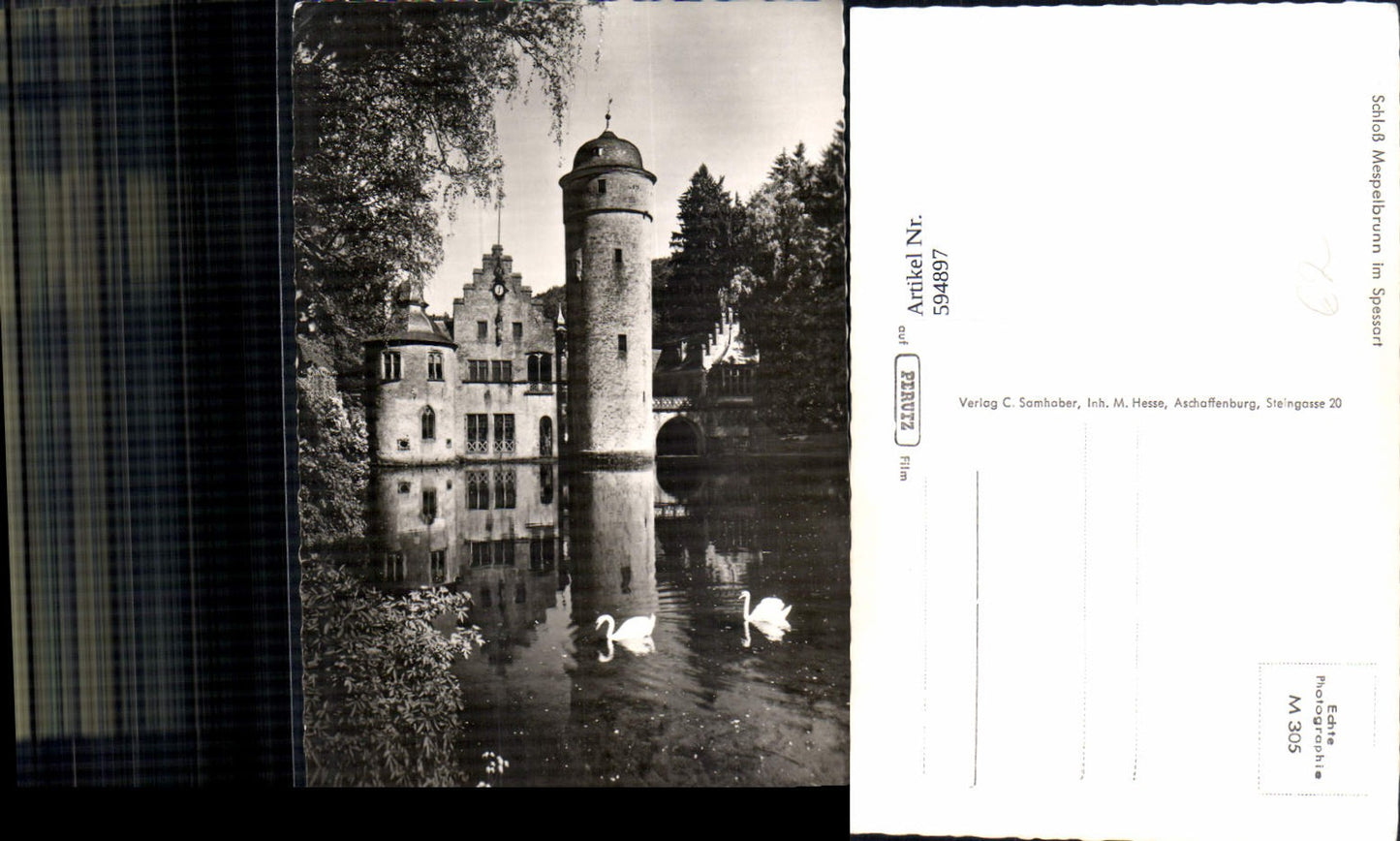 594897, Photo Ak Mespelbrunn Castle in Spessart Swan