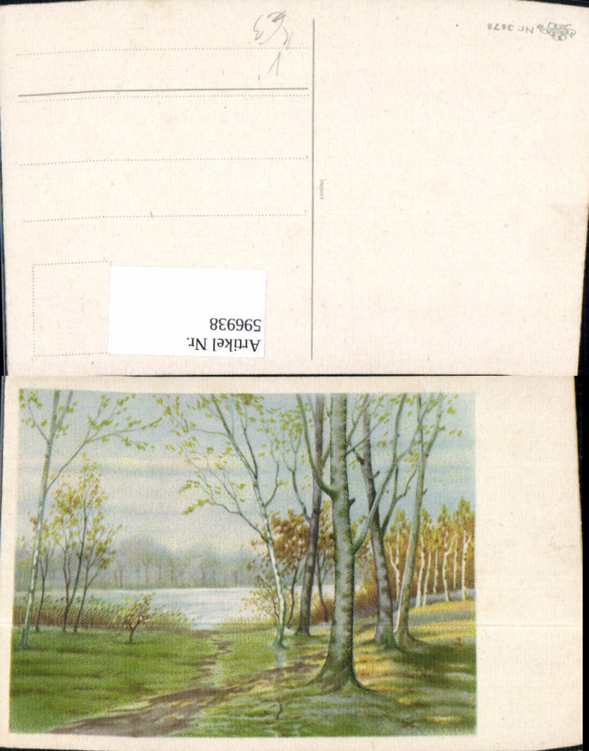 596938,Künstler Ak Bäume Birken Baum pub Erika 3478
