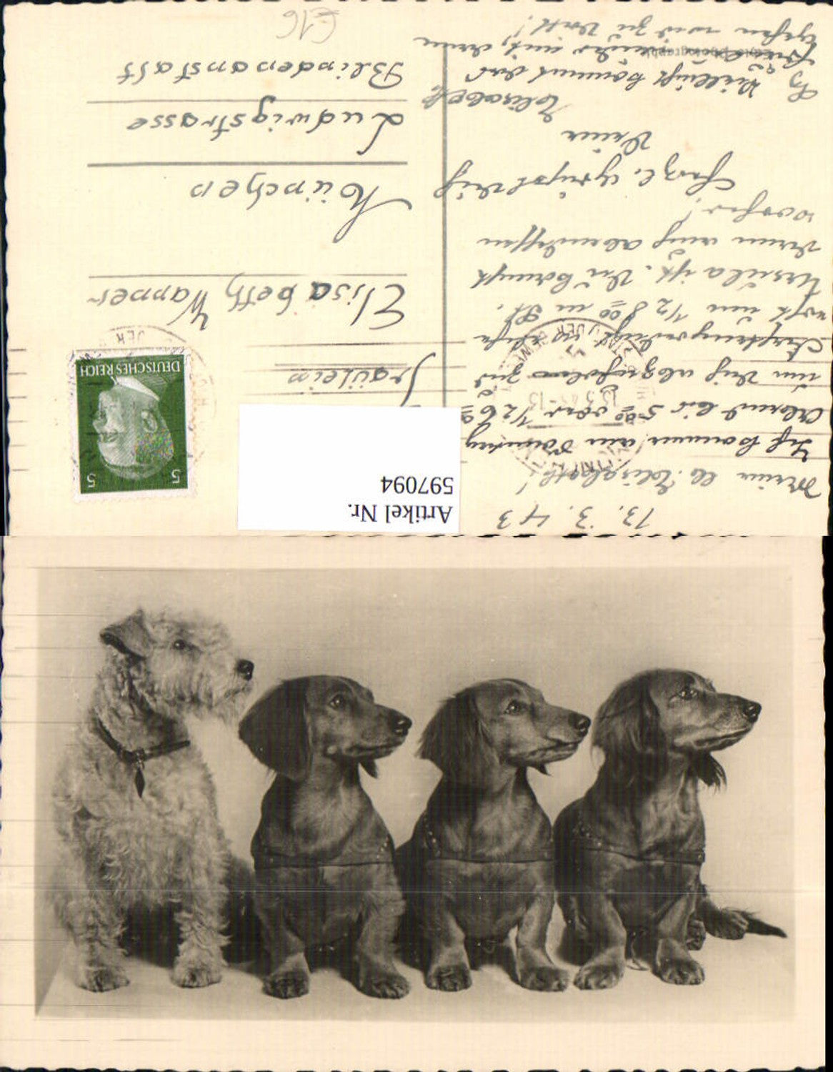 Alte Ansichtskarte – Old Postcard