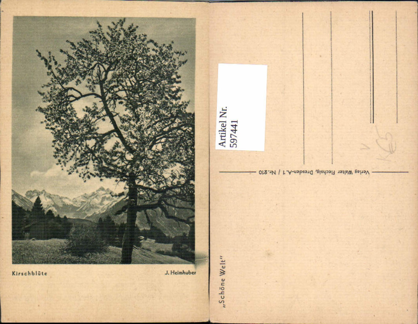 597441,Künstler Ak J. Heimbucher Kirschblüte Landschaft pub Walter Flechsig 210