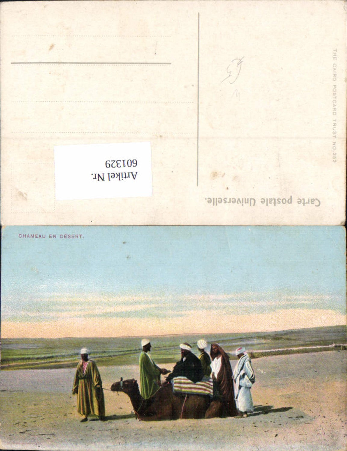 601329,Egypt Chameau en desert Kamel Typen Karawane Wüste