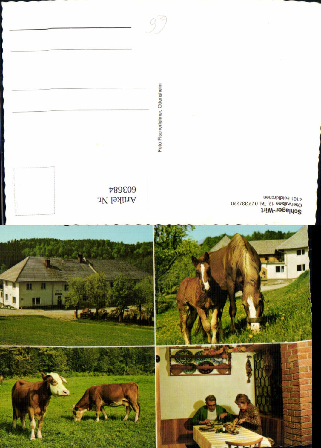 603684,Mehrbild Ak Feldkirchen Schlager-Wirt Pferde Kühe Rinder