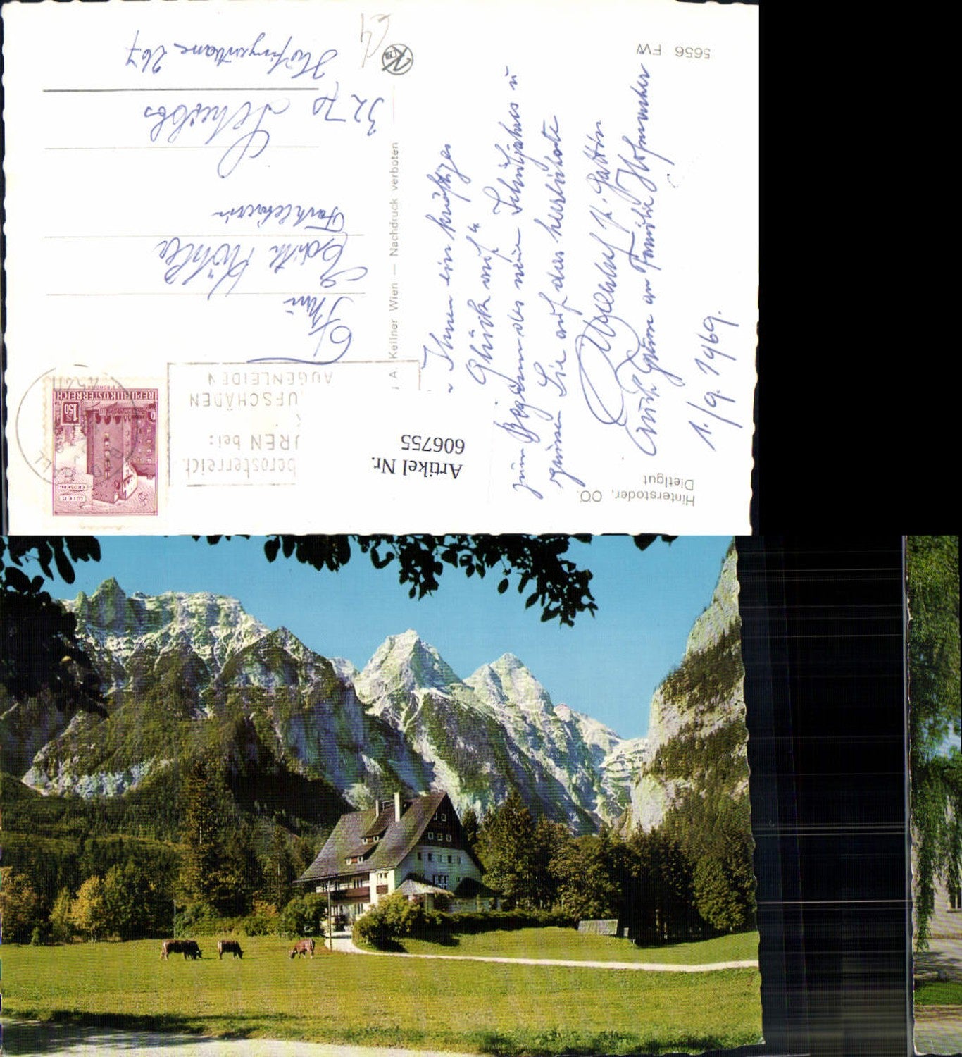 606755,Hinterstoder Dietlgut Rinder Kühe